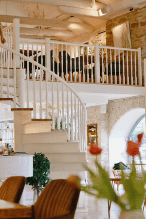 galerii basiilik restoran 5